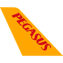 Pegasus Pegasus